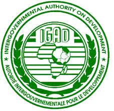 ‘IGAD has no justification to convince UNSC to impose sanctions on S Sudan’