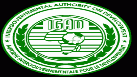 Protection and Deterrent Force will serve a separate mandate – IGAD