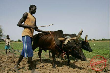 Uniting pastorolalists