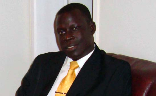 Analyst suggests AU takes over S Sudan peace process
