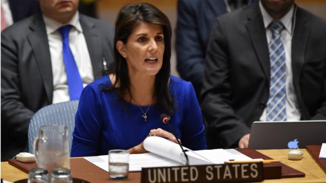 Arms embargo to stop the violence, says US’ Nikki Haley