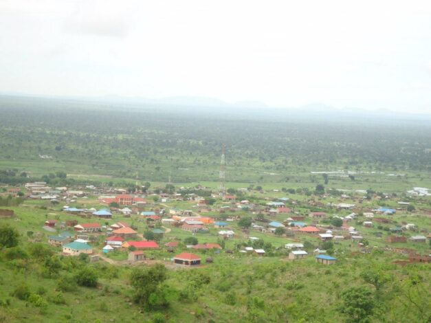 Another traveler held at Nimule over illegal crossing