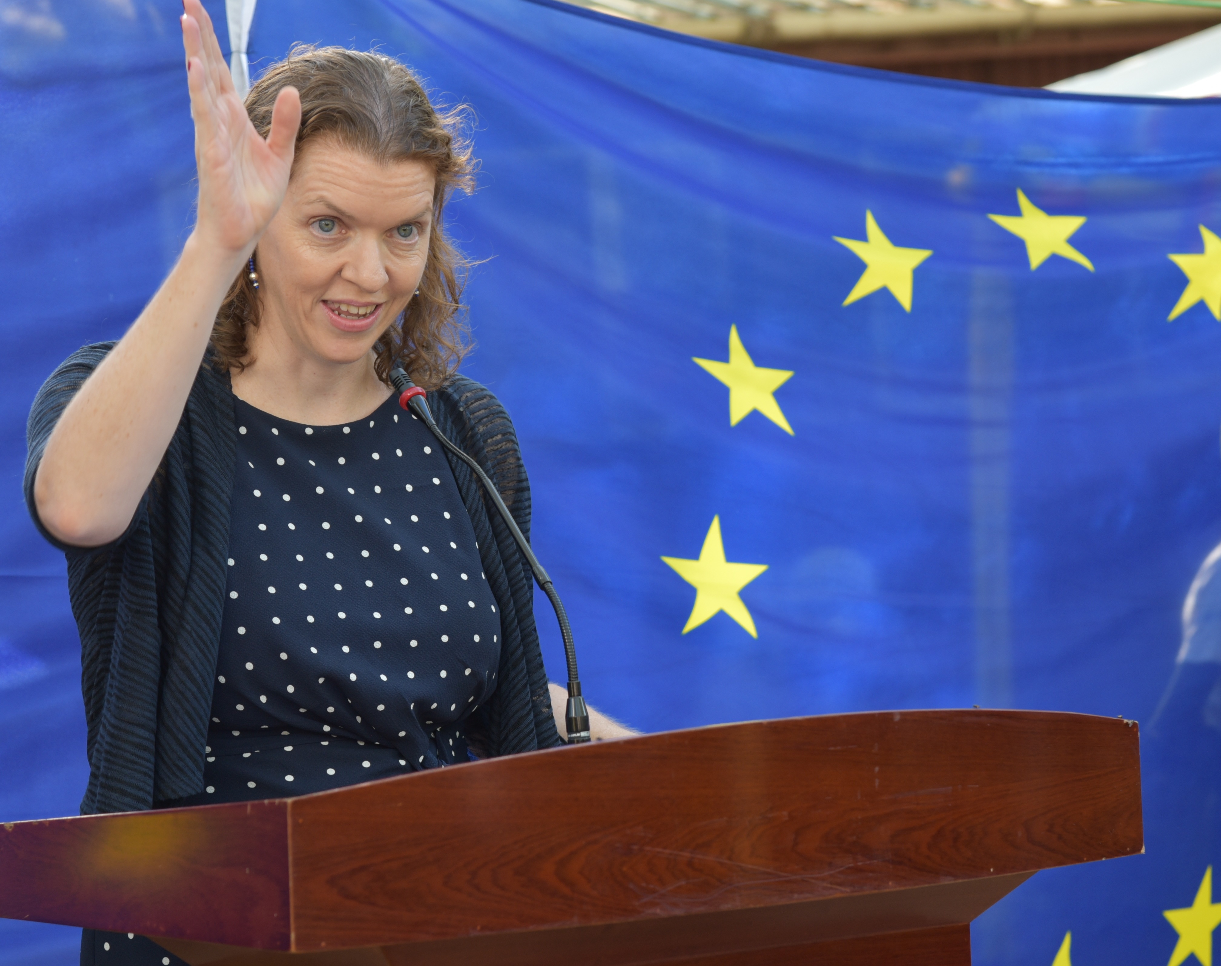 EU gives peace gov’t two conditions to earn its support