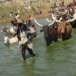 Western Equatoria lawmakers seek review of Ambororo pastoralist MoU