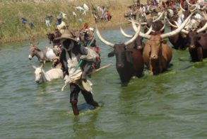 Western Equatoria lawmakers seek review of Ambororo pastoralist MoU