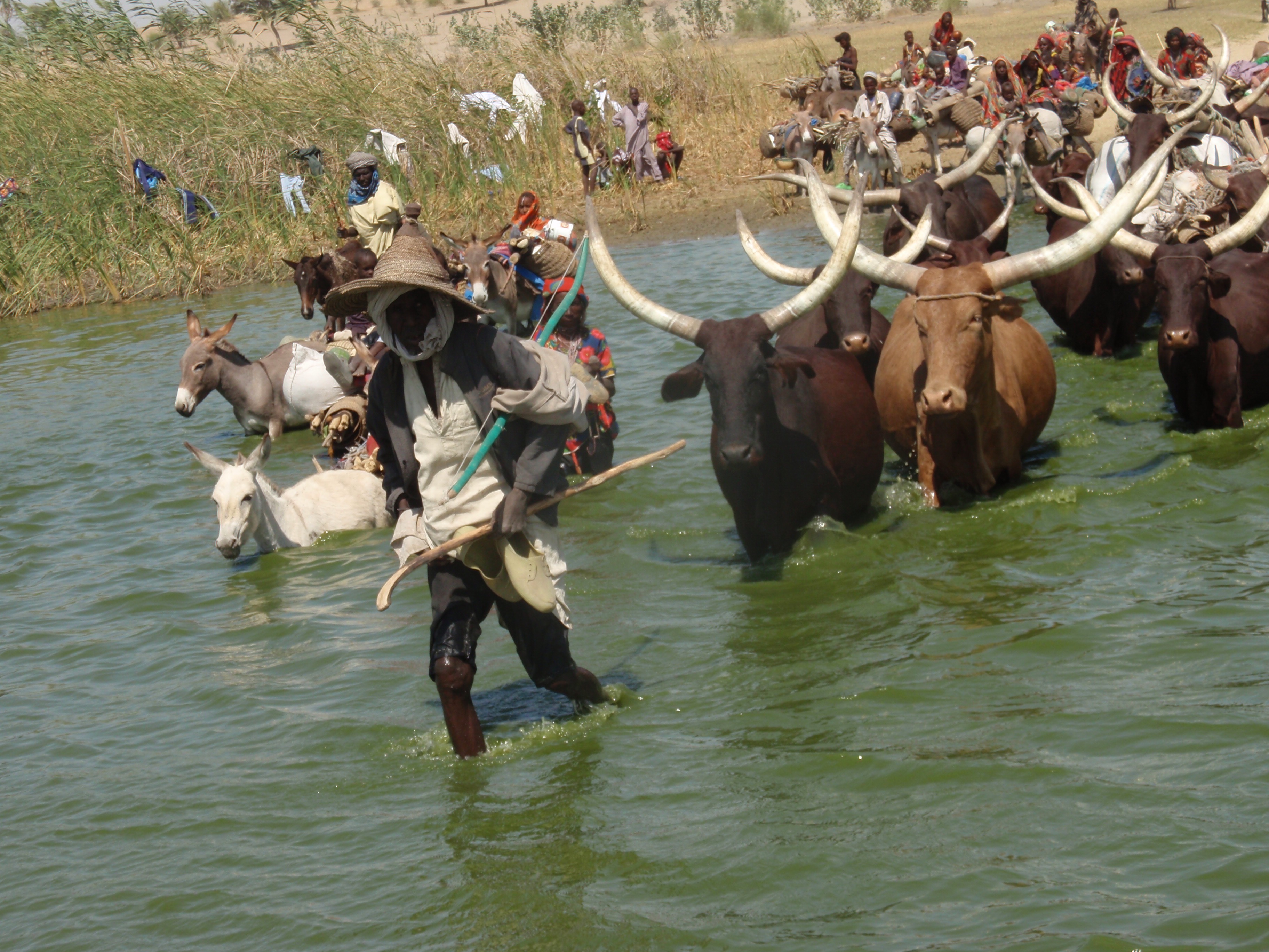 One killed by Ambororo nomads in Ibba County