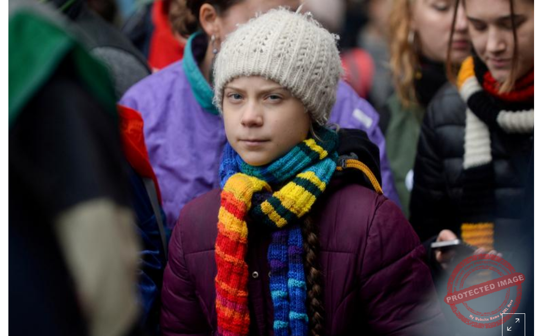 Navalny, WHO and Thunberg among nominees for Nobel Peace Prize