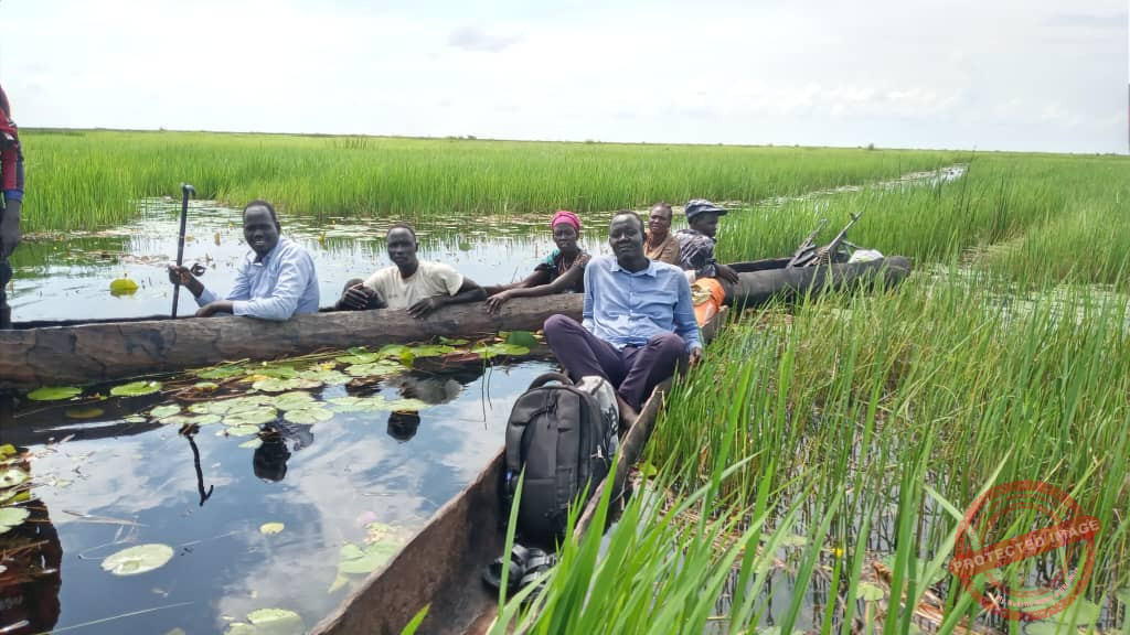 2021 floods: S Sudan lost 37,000 tons of cereal production – FAO report