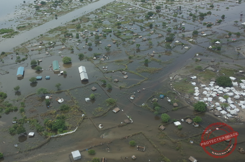 Gov’t approves SSP2B to rescue climate change-affected livestock
