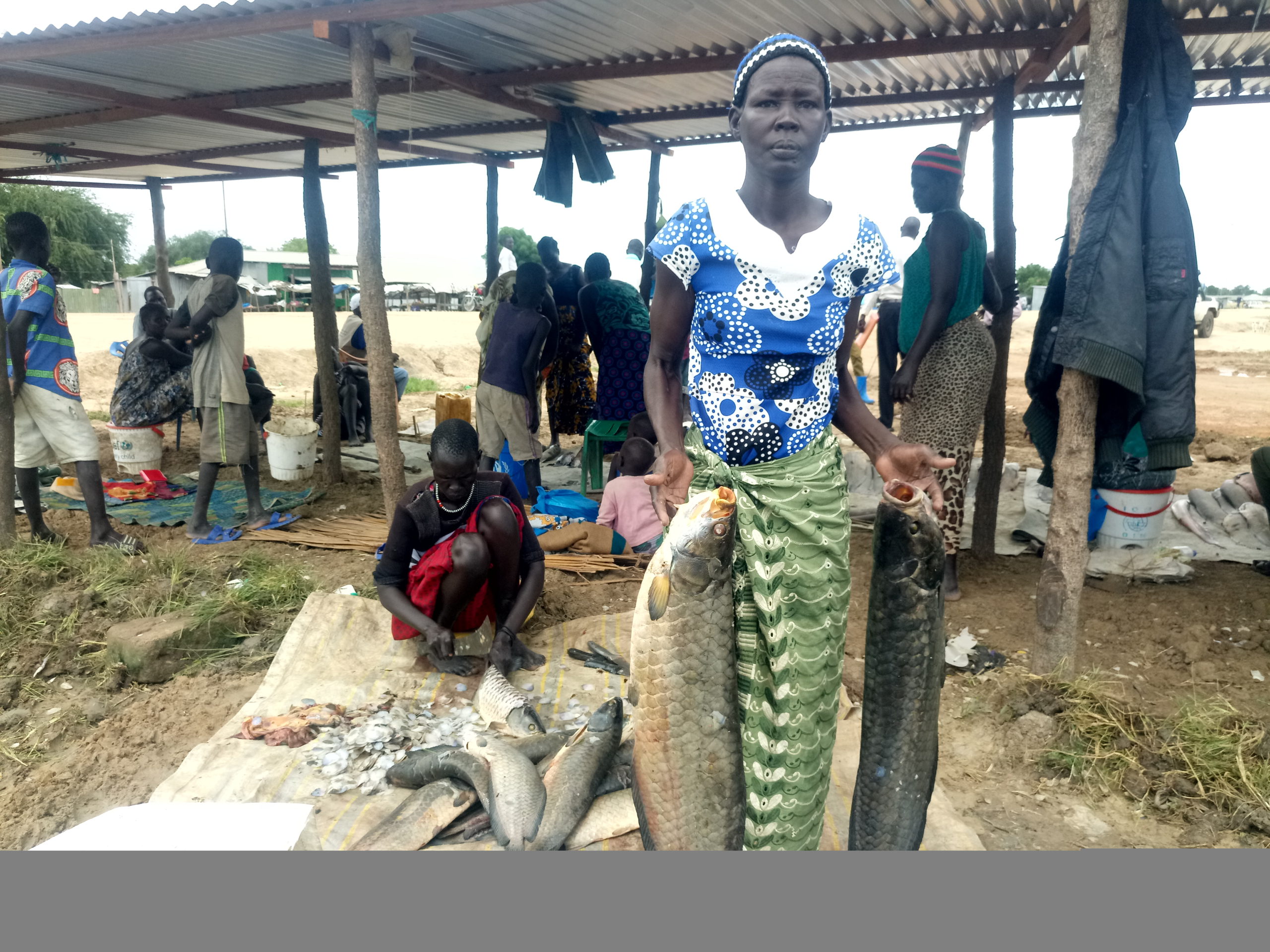 Bor fishermen worry over tons of fish lost to bad weather