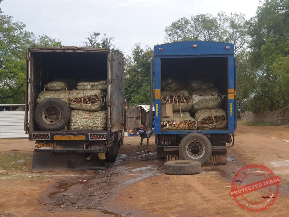 National authorities moves to curb smuggling of fish, livestock products