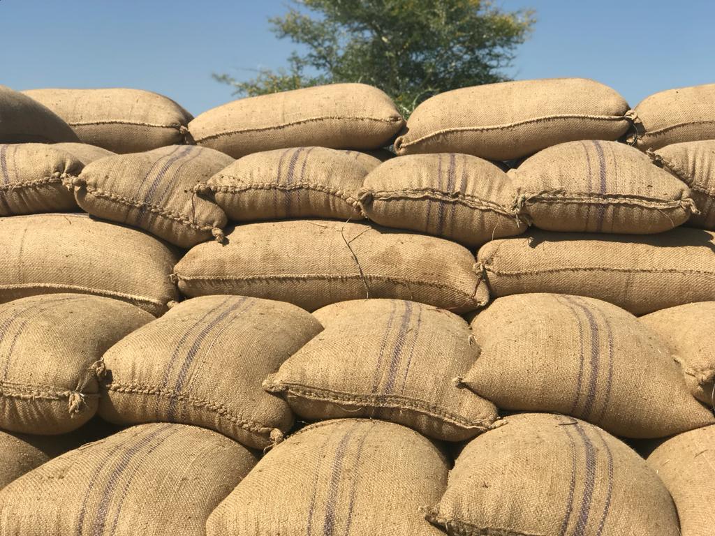 Renk farmers appeal to UN agencies to buy their sorghum