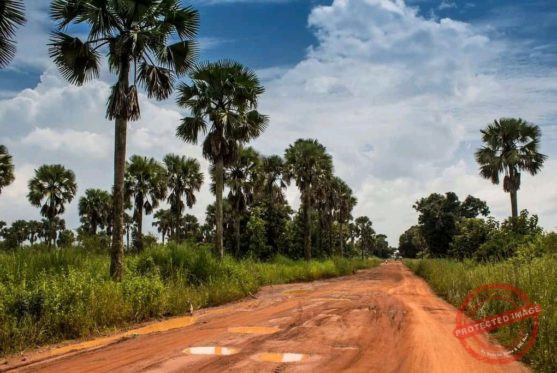 Rhino Star MD appeals for fuel, funding to rehabilitate Juba–Yei–Kaya road