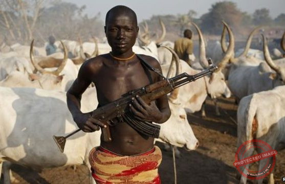 Four killed, three wounded in Bor cattle raid – Official