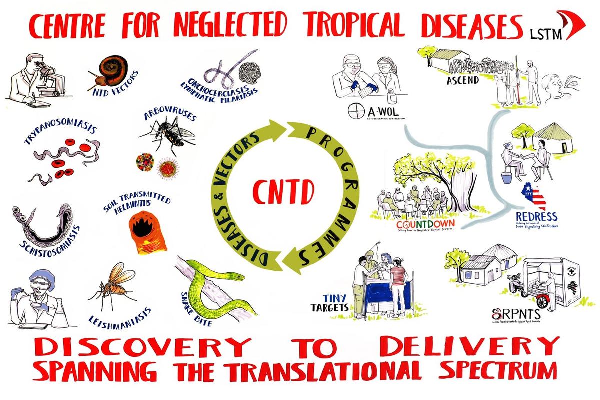 17 out of 20 world neglected tropical diseases prevalent in SSD -WHO