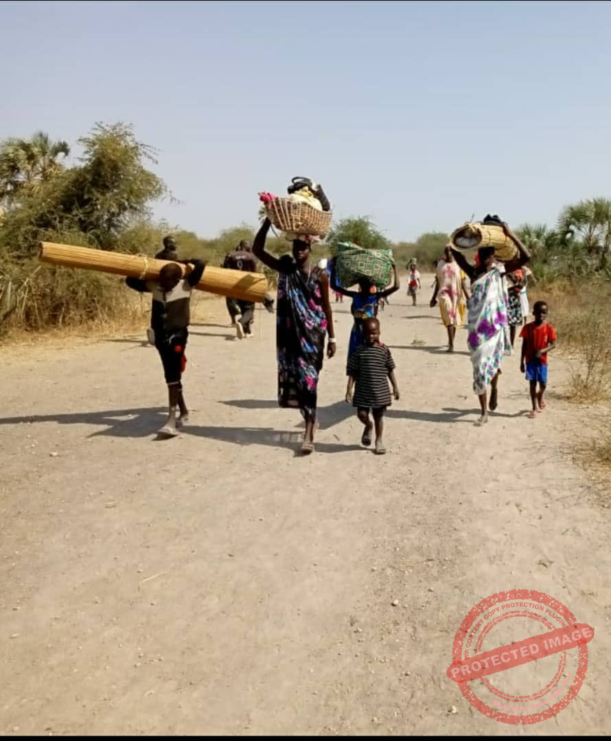 UNMISS calls for accountability over Unity State violence