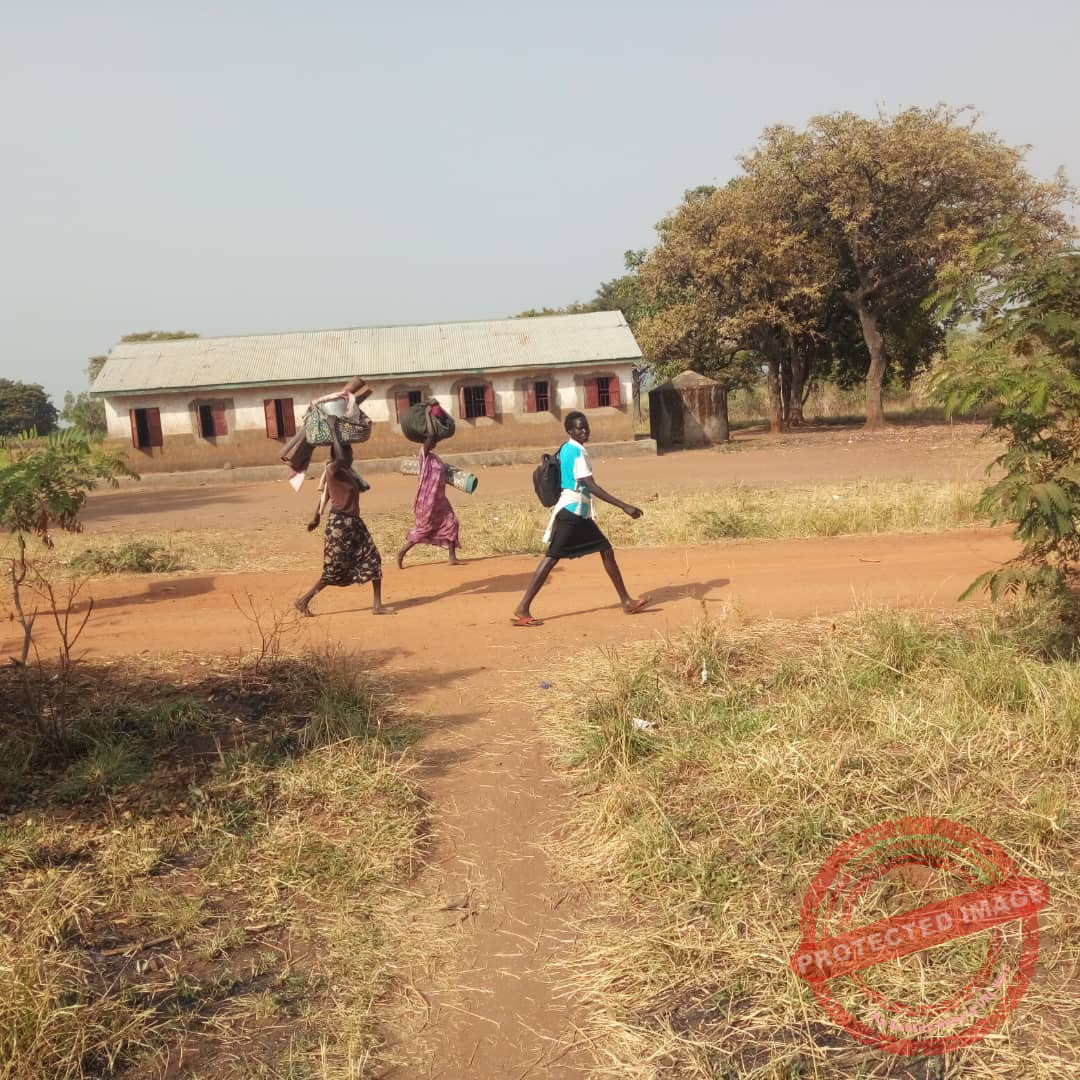Hundreds flee as cattle keepers displace villagers in Magwi