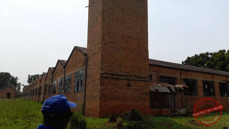 Gov’t set plans to revive Nzara Agricultural Scheme