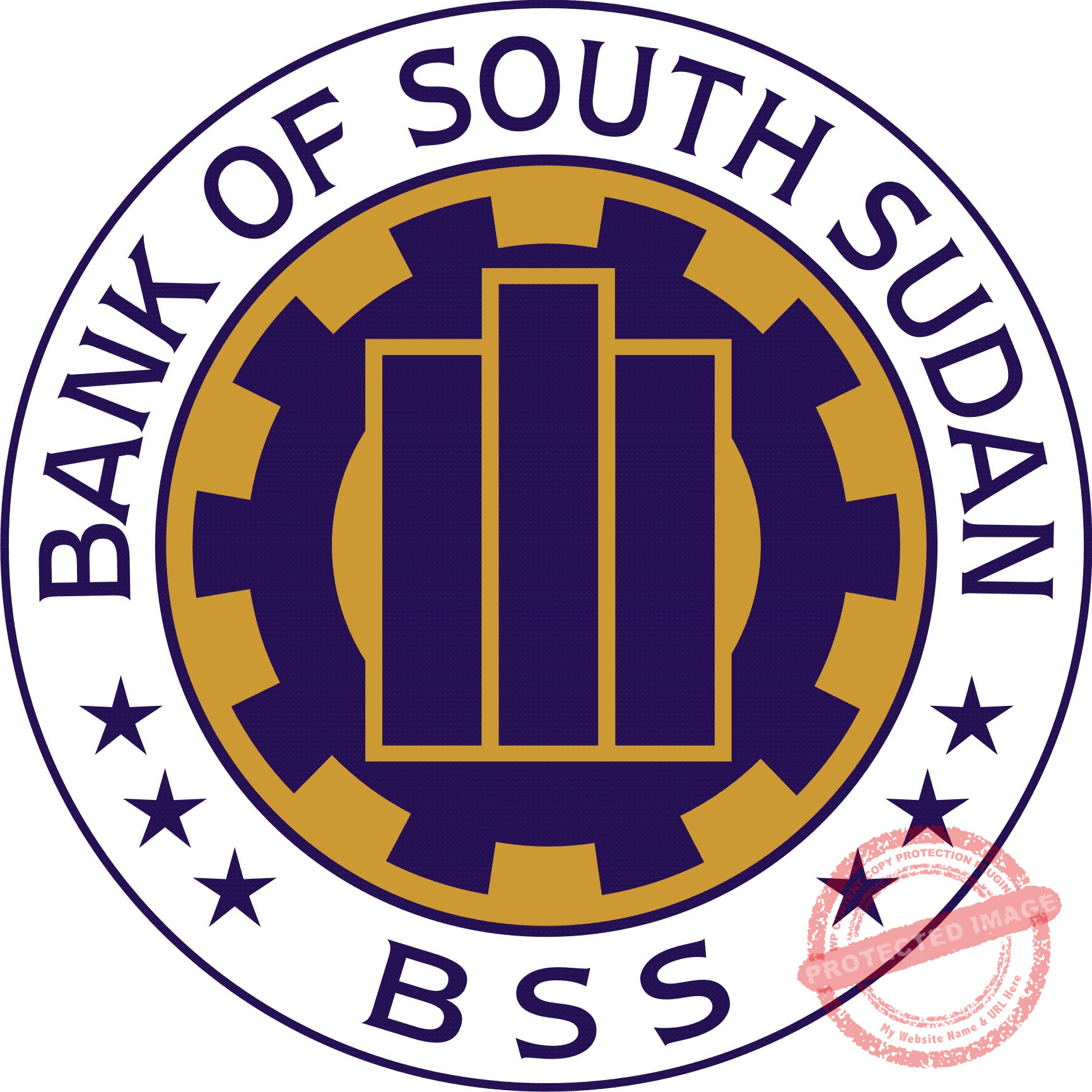 BoSS directs commercial banks to close all govt bank accounts