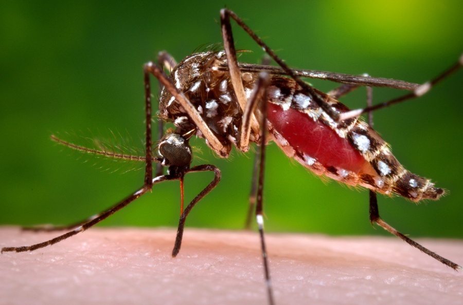 EAC urges Partner States to take preventive measures against vector-borne diseases