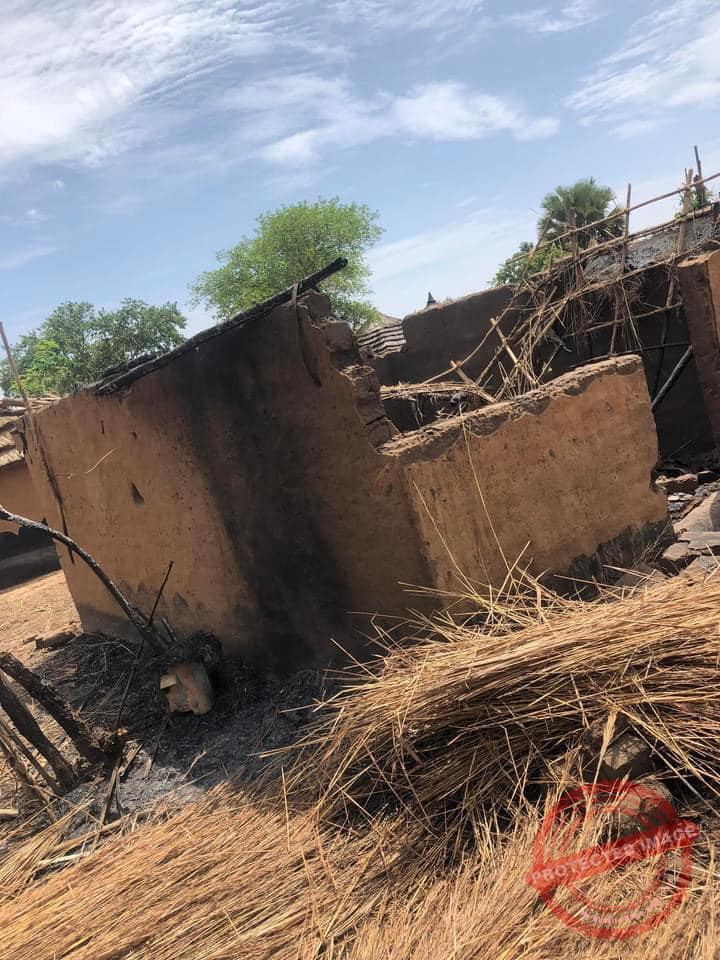 Seven siblings rescued after teen set them on fire over starvation