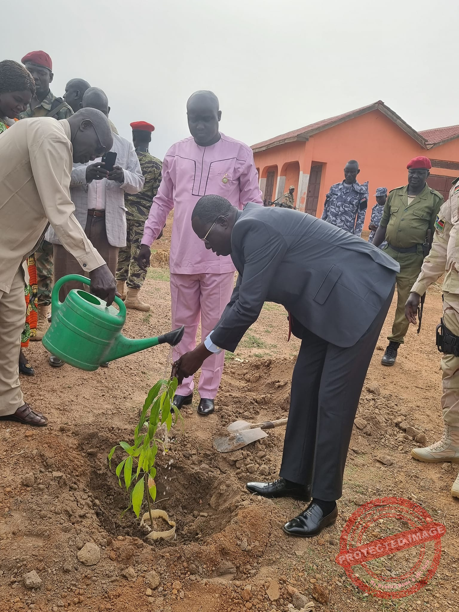 NBS launches 2 million fruit trees planting initiative