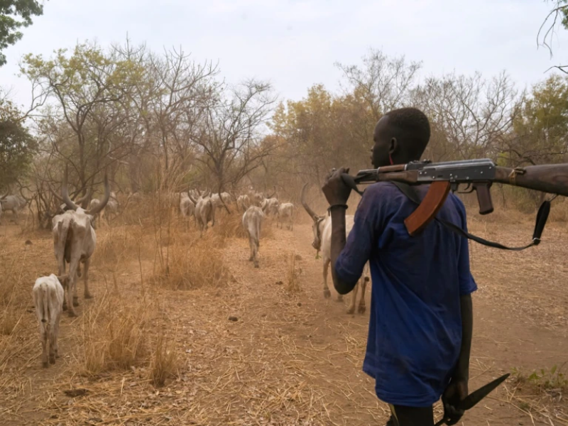 3 Killed, 6 wounded in Tonj East cattle-raiding