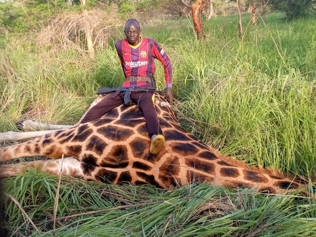 Gov’t identifies poachers who massacred wild animals in Akobo