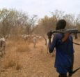 19 killed, 14 injured in renewed Tonj South clashes