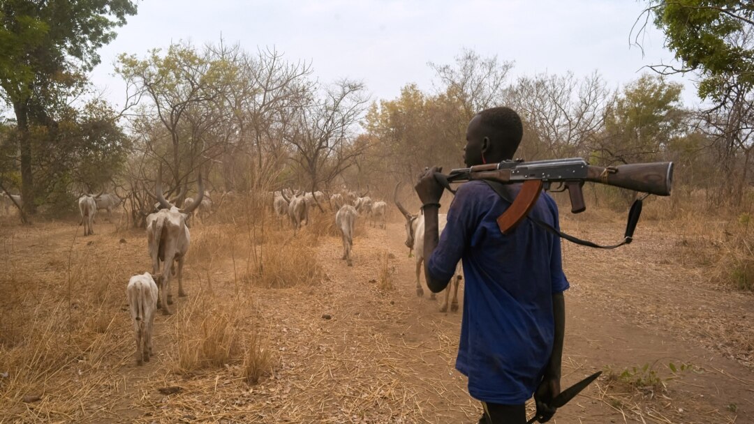 7 dead,13 wounded in Tonj East cattle raiding