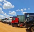 Nimule border officials seize 120 tons of ‘harmful’ Ugandan maize