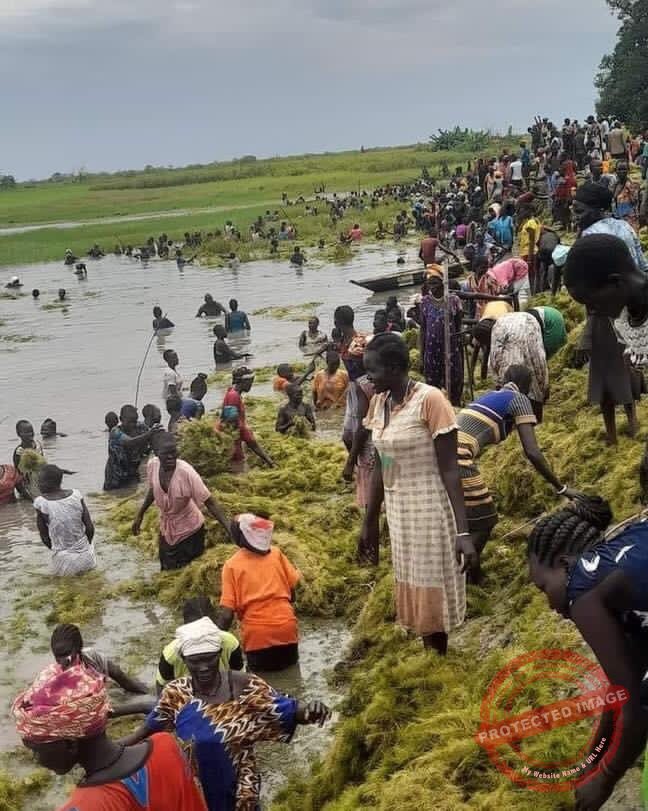 Naam  river hand clearing poses Bentiu locals risks of snake bites