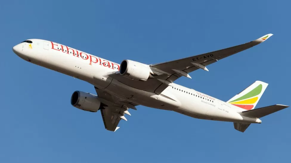 Ethiopian Airlines pilots ‘miss runway after falling asleep’