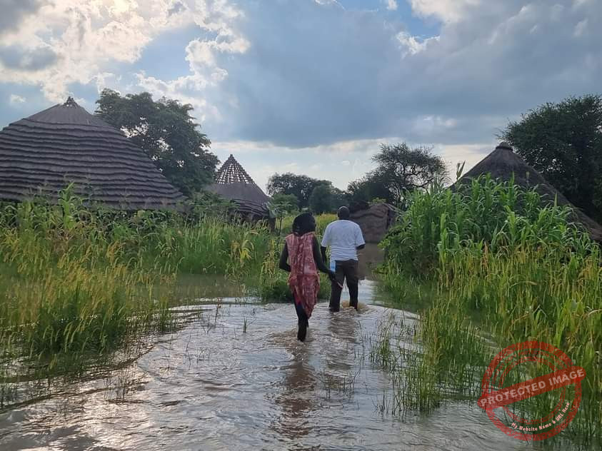 Flood-stricken NBGs acquires snake repellents
