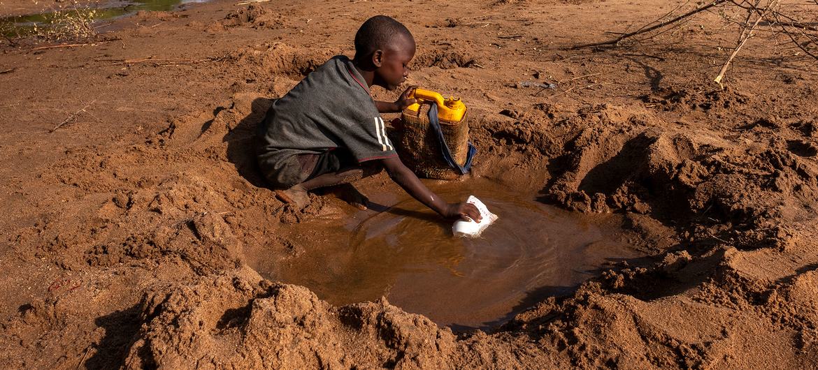 WFP: 22 million risk starvation in drought-stricken Horn of Africa