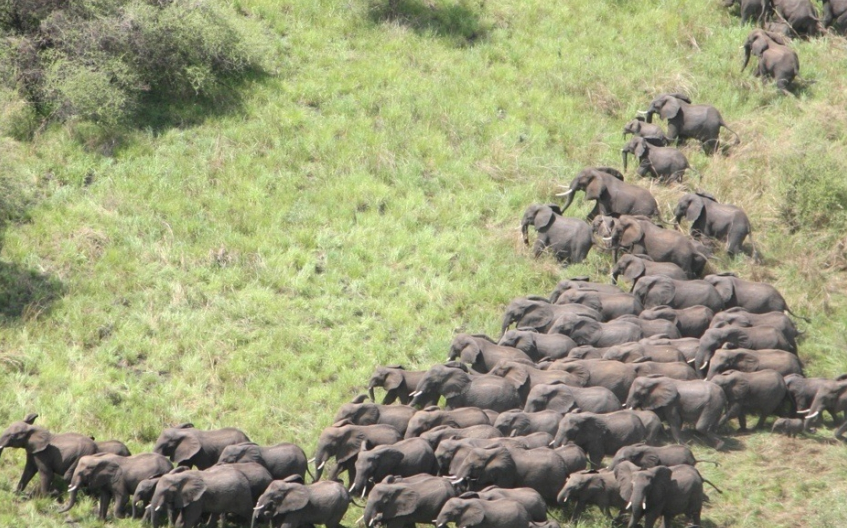 S. Sudan secures $50m to manage its national parks - Eye Radio