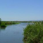 Boat accident in Upper Nile’s Melut kills 4, injures 10