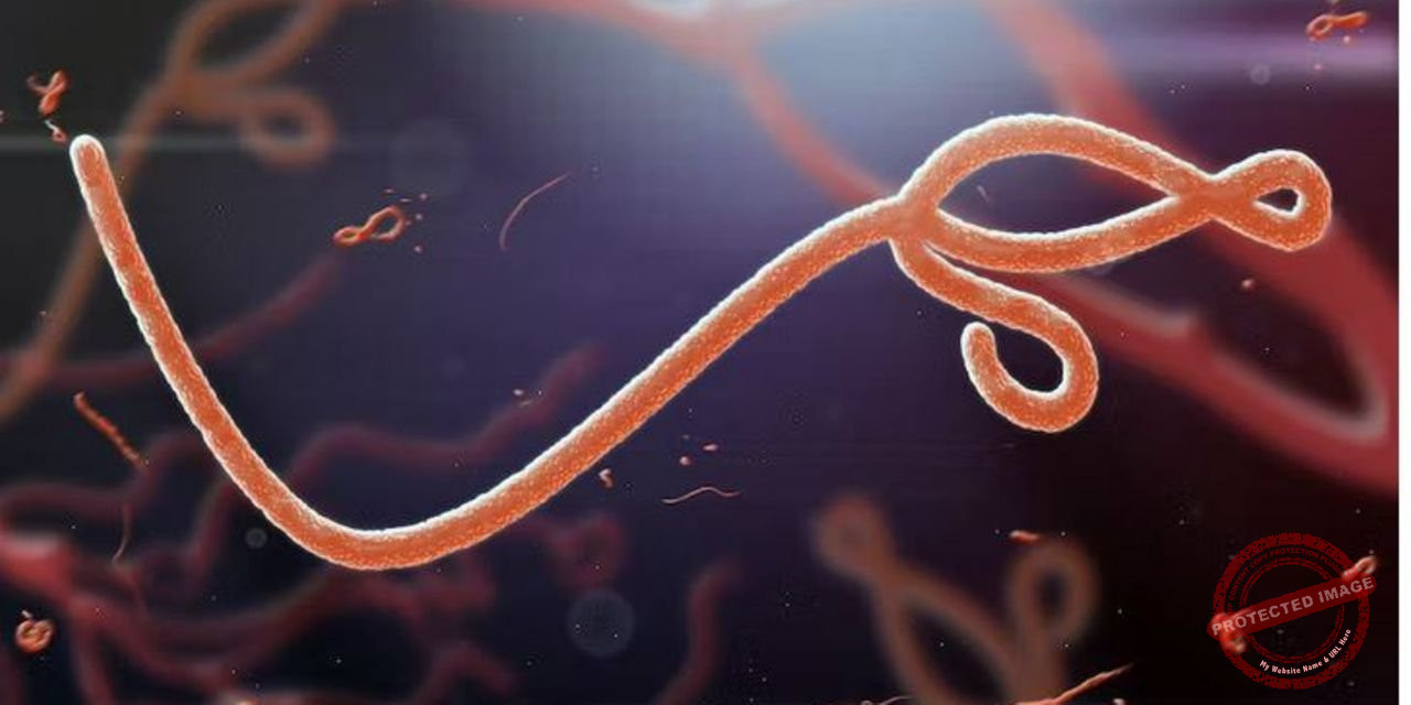 Uganda declares end to Ebola outbreak