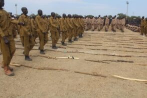 Analyst says UN sanctions to push for security sector reforms