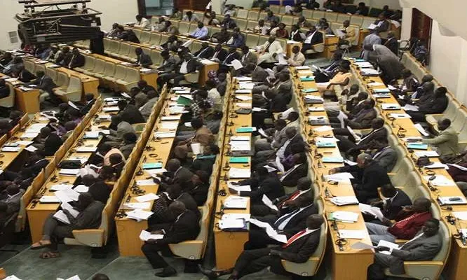 Chaos in parliament as MP terms colleague “liar”