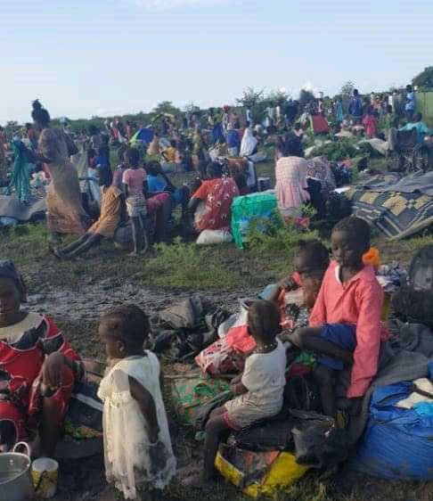 594 civilians killed in Upper Nile in late 2022: UN investigation