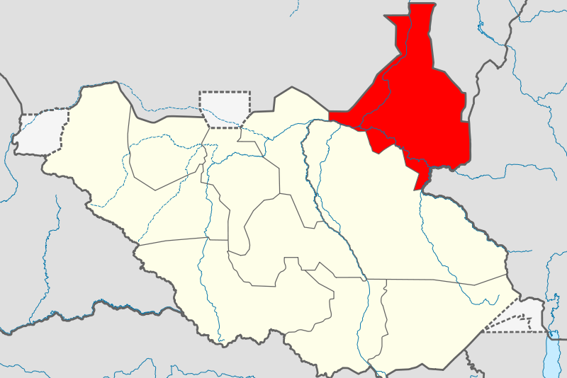 Aid worker killed in Upper Nile amid rising humanitarian access incidents – OCHA