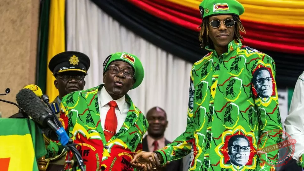 Robert Mugabe’s son arrested in Zimbabwe over cars trashed at Harare party