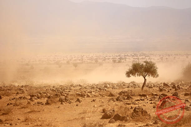 President of drought-hit Kenya  holds prayers for rain