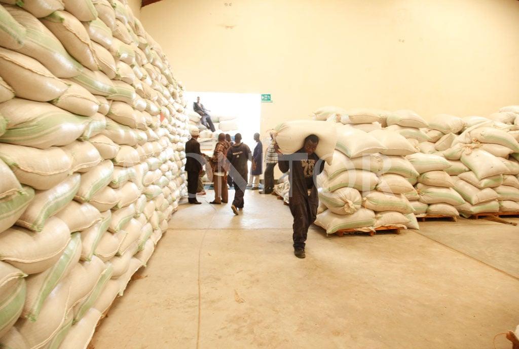 Yakani asks govt intervention in ‘unhealthy maize’ import