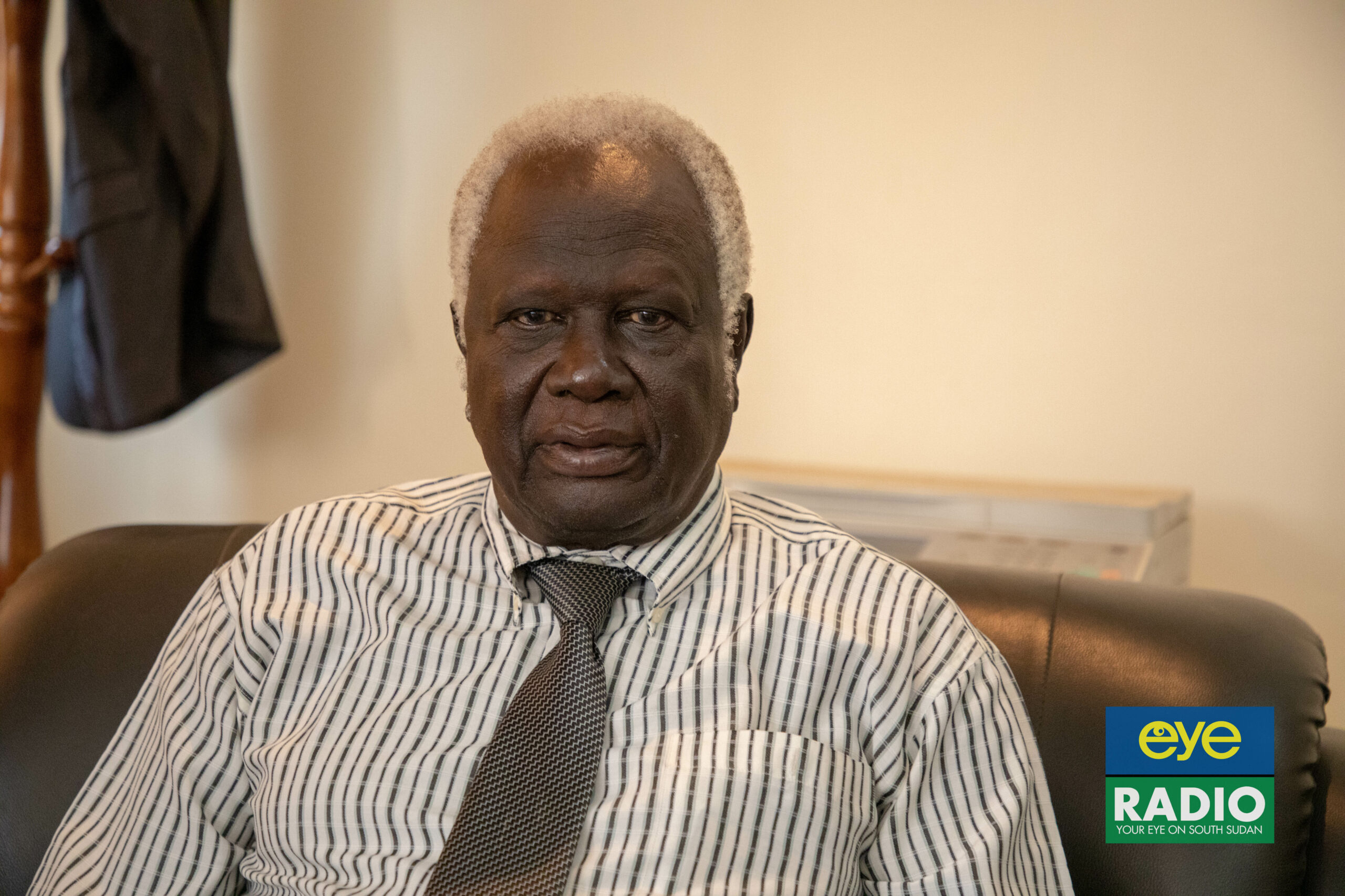 S. Sudan could use 2008 census for elections – NEC boss
