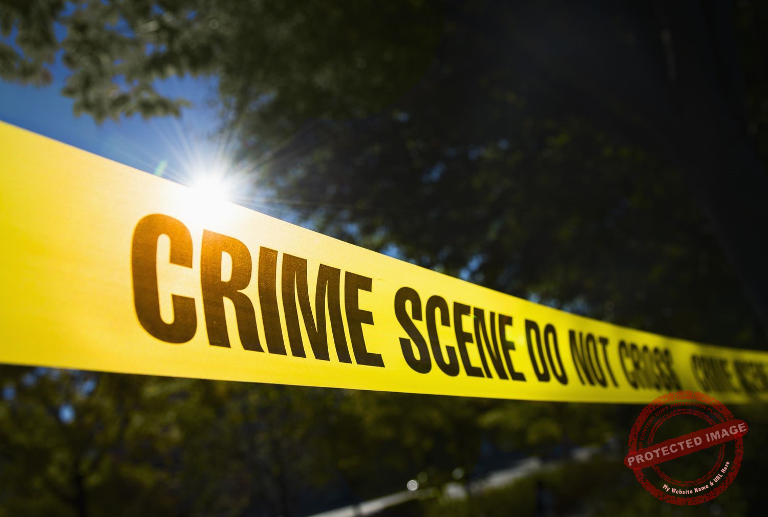 7 peace delegates killed in Lafon road ambush