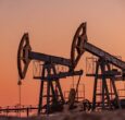 Expert raises alarm over Jonglei oil exploration