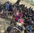 Drought, crop failure fuel hunger concerns in Eastern Equatoria