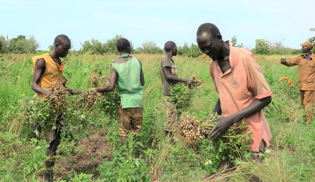 Wau Prison inmates cultivating own food